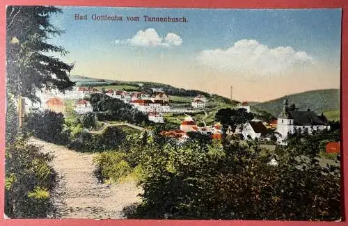 Ak Bad Gottleuba vom Tannenbusch, Sachsen