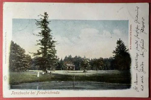 Ak Tanzbuche bei Friedrichroda