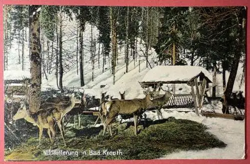 Ak Wildfütterung in Bad Kreuth