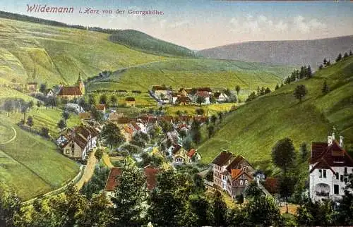 Ak Wildemann i. Harz 