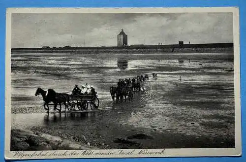 Ak Insel Neuweck, Wagenfahrt durch das Watt
