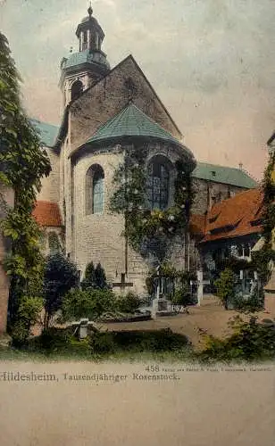Ak Hildesheim, Tausendjähriger Rosenstock 