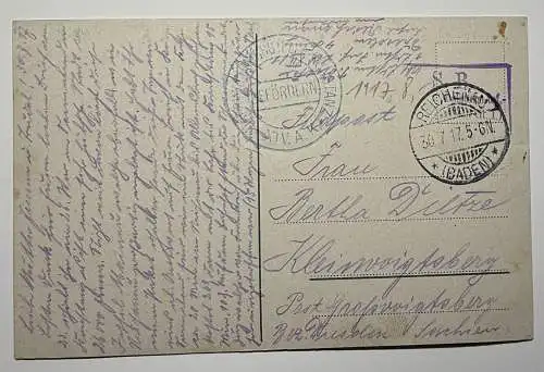 Ak Mainau, Rosengarten 