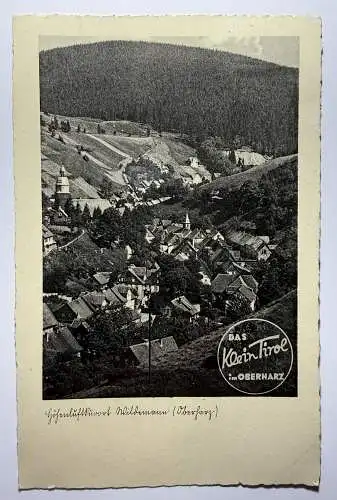 Ak Wildemann i. Harz, Das Klein Tirol im Oberharz