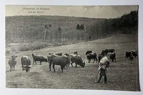 Ak Altenbrak im Bodetal, Auf der Weide, Harz