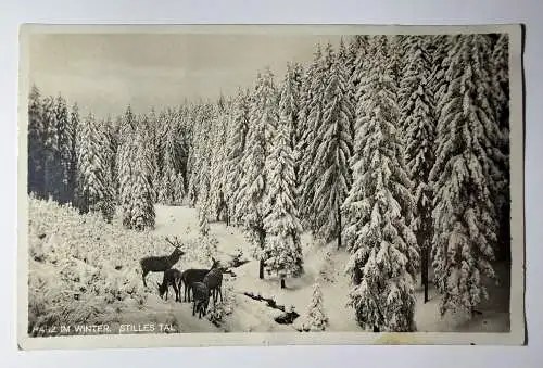 Ak Harz im Winter, Stilles Tal