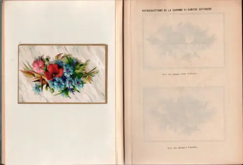 La Photographie des Objets Colorés , H.G. VOGEL 1887