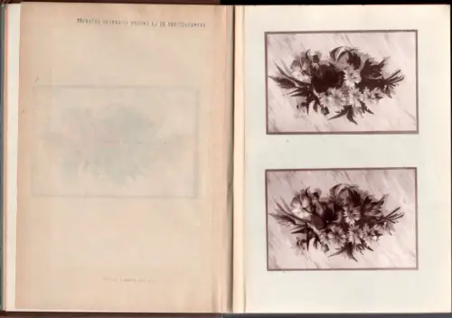 La Photographie des Objets Colorés , H.G. VOGEL 1887