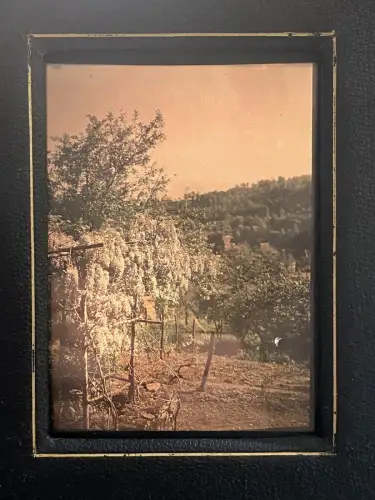 Visionneuse à Autochromes Le Reflex avec autochrome 9 X12 vintage photographie