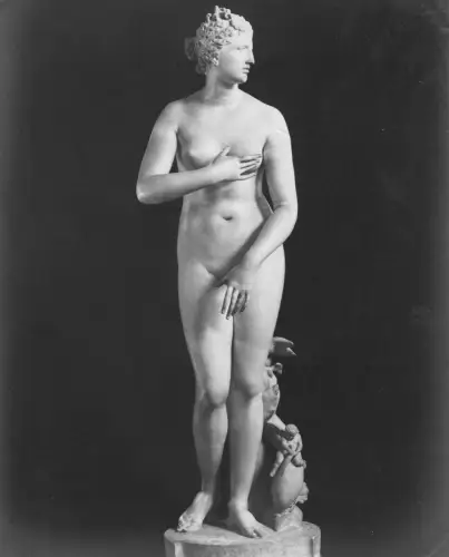Photographie Vintage - Giacomo Brogi- Venus de Medicis - Florence c 1880