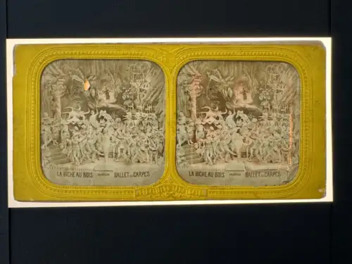 "La Biche au bois" par Adolphe Block 10 cartes stéréo albuminées french tissues