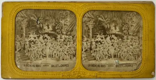 "La Biche au bois" par Adolphe Block 10 cartes stéréo albuminées french tissues