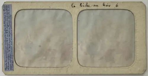 "La Biche au bois" par Adolphe Block 10 cartes stéréo albuminées french tissues