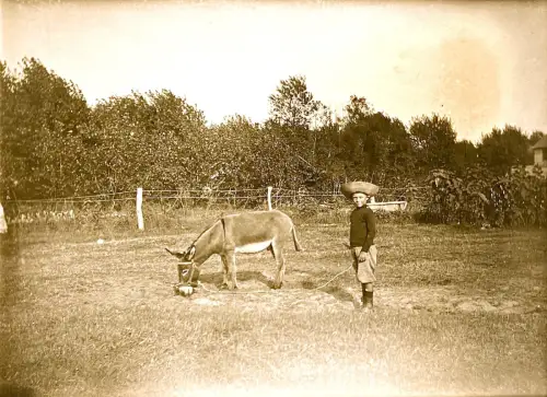 Photo Plaque de verre "le petit âne et l'enfant" cadre laiton 9 x 12 cm c 1880