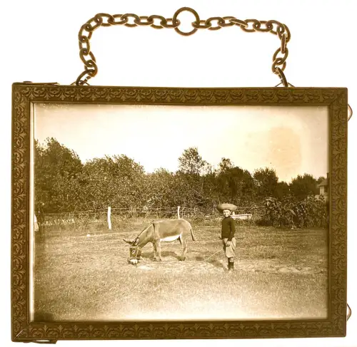 Photo Plaque de verre "le petit âne et l'enfant" cadre laiton 9 x 12 cm c 1880