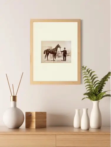 Tirage albuminé photographie hippique Présentation du cheval de course c.1880