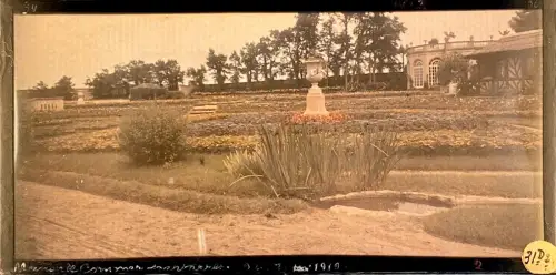 Autochrome Frères Lumière "Parterre de fleurs" panoramique PhotoVintage 1919