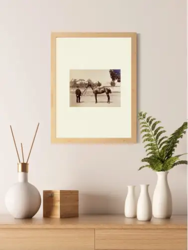 Tirage albuminé photographie hippique Présentation du cheval de course c.1880