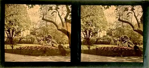 Autochrome plaque de verre vue stéréoscopique "Au jardin" circa 1920