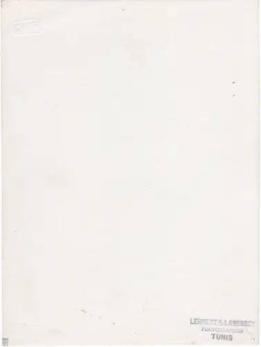 Tunisienne par LENHERT & LANDROCK Tirage argentique circa 1905