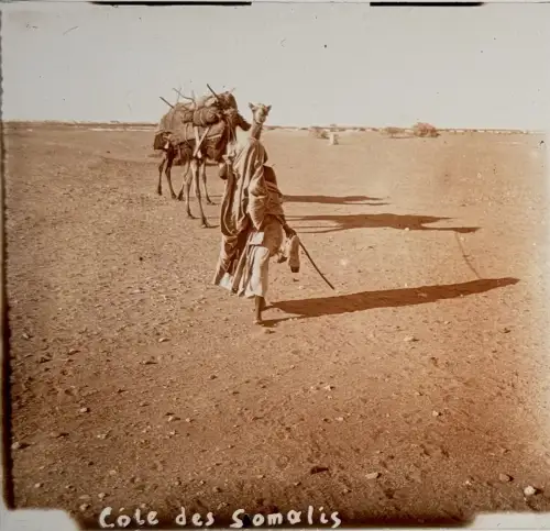 5 très belles plaques de verre stéréo Afrique et visionneuse circa 1910