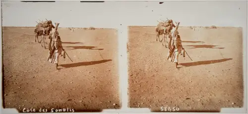 5 très belles plaques de verre stéréo Afrique et visionneuse circa 1910