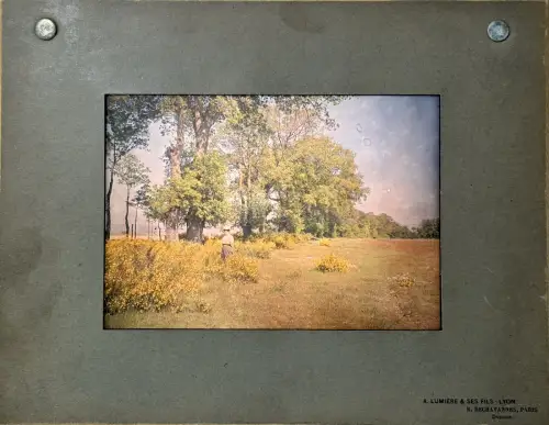 Autochrome LUMIERE "Elégante aux genets" circa 1910 photographie Vintage