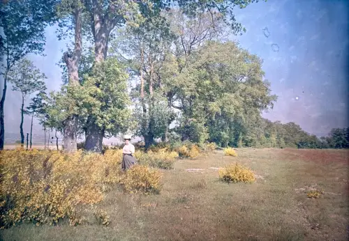 Autochrome LUMIERE "Elégante aux genets" circa 1910 photographie Vintage