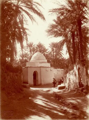 Palmeraie, Tunis par LENHERT & LANDROCK Tirage argentique circa 1905