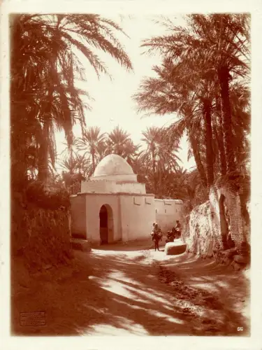 Palmeraie, Tunis par LENHERT & LANDROCK Tirage argentique circa 1905