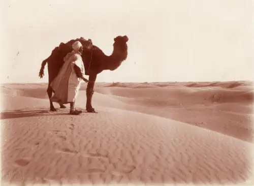 Bédouin et chameau par LENHERT & LANDROCK Tirage argentique circa 1905