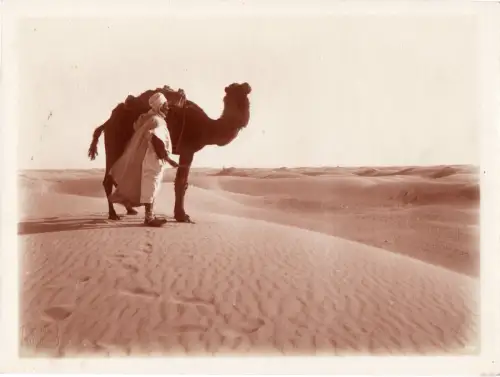 Bédouin et chameau par LENHERT & LANDROCK Tirage argentique circa 1905