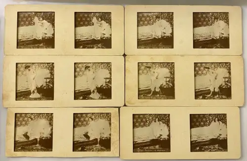 Fantaisies parisiennes - Coffret de 6 vues de nus stéréoscopiques panoptiques