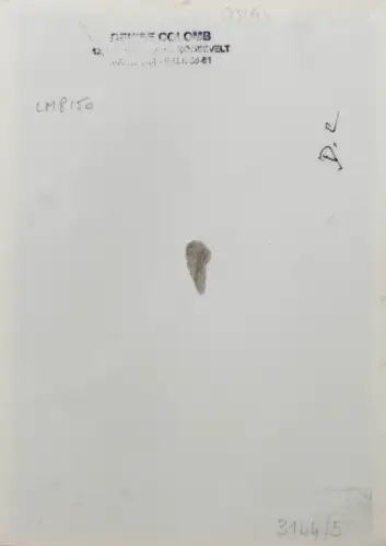 Denise COLOMB (1902-2004) La Belle Américaine Tirage argentique c.1950