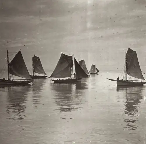 Plaque de verre vue stéréoscopique grand format "Frégate" circa 1910