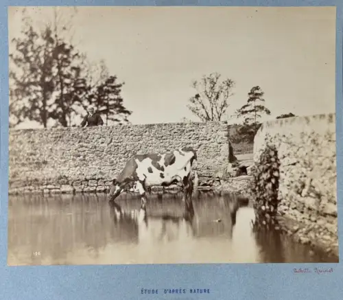 Achille QUINET(1831-1907) Etude d'après nature c.1860 Tirage albuminé signé