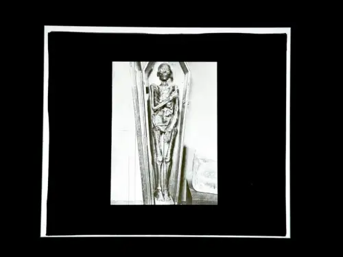 Momie , Plaque de verre c. 1900 Dr Franz Stoedtner, Berlin