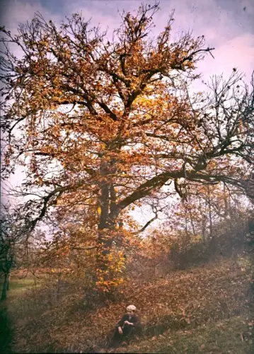 Autochrome "Jeune homme devant un arbre en automne"  c. 1905