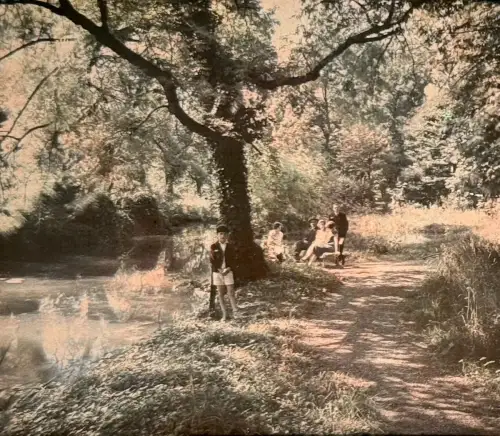 Autochrome - vue stéréoscopique sur plaque de verre, Promenade au bord de l'eau