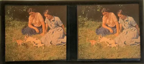 Autochrome plaque de verre vue stéréoscopique"Les Chatons" c.1930