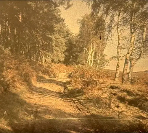 Autochrome Glass Plate – Stereoscopic View “Underwood” Circa 1920