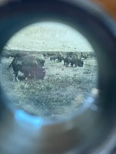 Stereoscopy  Borne stéréo de table avec 50 cartes H.C White&Co UK & USA c. 1903