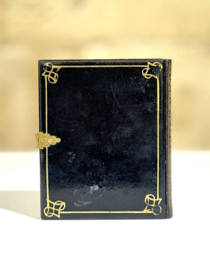 Georges SHAW (1818-1904) Daguerréotype dans un précieux coffret  c.1850 4