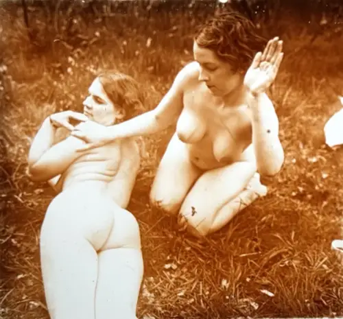 Plaque de verre positive, Nu stéréoscopique "La Fessée" c.1925