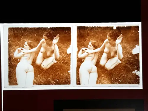 Plaque de verre positive, Nu stéréoscopique "La Fessée" c.1925