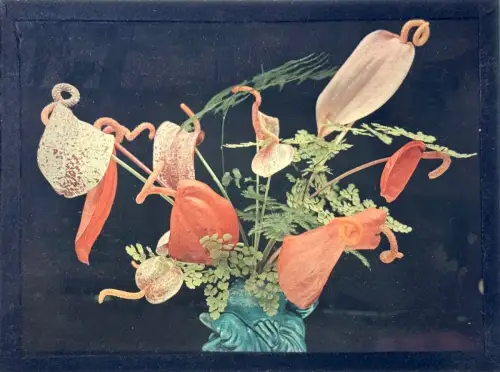 Autochrome "Bouquet de fleurs de Flamant Rose" circa 1920