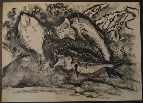 Kuhfuss, Paul: Fische. Kohle auf Papier, 46 x 64 cm, wie meist bei Zeichnungen von Kuhfuss nicht signiert.