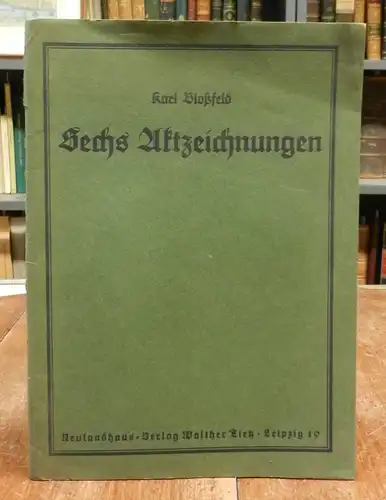 Bloßfeld, Karl: Sechs Aktzeichnungen. 6 orig. Lithographien nach Federzeichnungen: Hüter des Tales / Blühen / Der Schatten / Klage / Es waren zwei Königskinder / Abend.