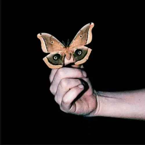 Soulwax: All Systems Are Lying CD Neu