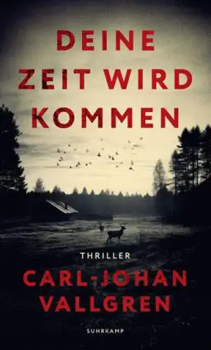 Carl-Johan Vallgren: Deine Zeit wird kommen Buch Neu